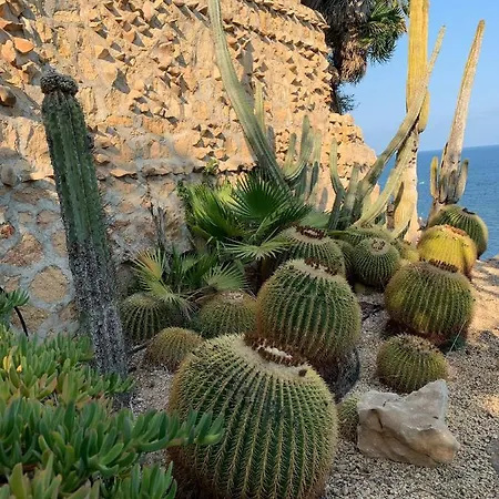 El Jardin Botanico Luz * Altea