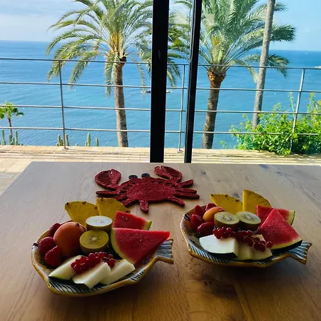 Bed & Breakfast El Jardin Botanico Luz